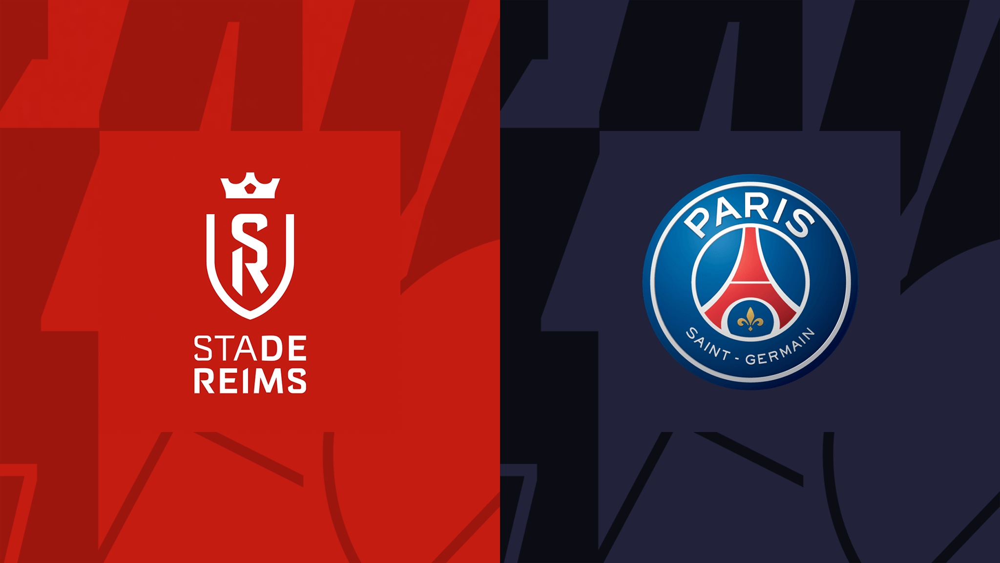 小规模的茶籽油生产线