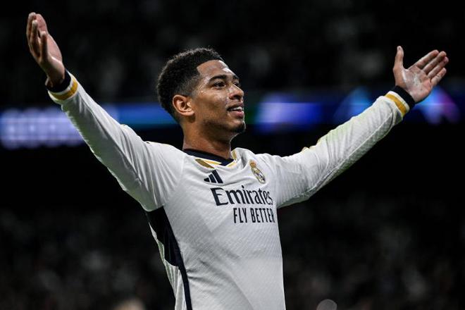 50吨植物油精炼设备